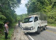 Tak Kuat Menanjak, Mobil Pick-Up Muatan Pepaya Hampir Mundur dan Masuk Jurang