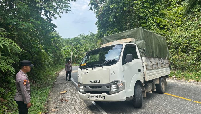 Tak Kuat Menanjak, Mobil Pick-Up Muatan Pepaya Hampir Mundur dan Masuk Jurang