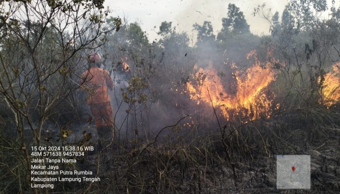 Kembali Terbakar, 350 Hektar Taman Nasional Way Kambas Jadi Arang