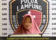Tipu Korban Hingga Satu Milliar Lebih, MD Ngaku Bisa Masukan Jadi Bintara Polri Digelandang Ke Polda Lampung