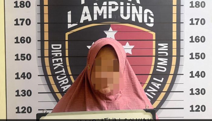 Tipu Korban Hingga Satu Milliar Lebih, MD Ngaku Bisa Masukan Jadi Bintara Polri Digelandang Ke Polda Lampung