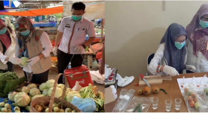 Dinas Ketahanan Pangan Lambar, Lakukan Pengawasan Kemanan dan Mutu Pangan Segar