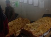 Terkena Aliran Listrik Saat Membuat Keramba Apung, Dua Warga Lumbok Seminung Meninggal Dunia