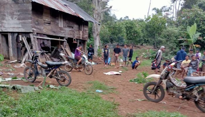 Gajah Liar Ngamuk, Satu Warga Meninggal Mengenaskan di Tanggamus Lampung