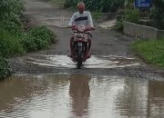 Anggota DPRD Lambar, Akbar Desak Pemkab Segera Lakukan Perbaikan Jalan Rusak Di Pekon Bedudu