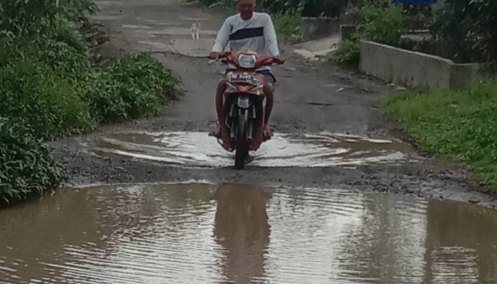 Anggota DPRD Lambar, Akbar Desak Pemkab Segera Lakukan Perbaikan Jalan Rusak Di Pekon Bedudu
