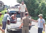 Satpol PP Lambar Tertibkan ODGJ Di Pekon Bakhu Yang Meresahkan