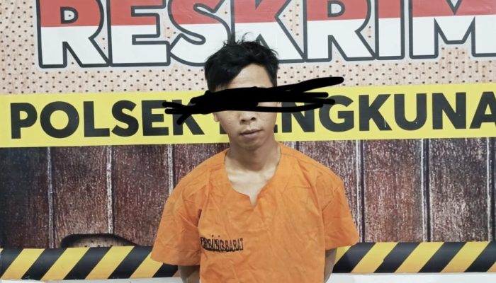 Pelaku Penikaman di Pekon Sukamaju Ngaras Lampung Ahirnya Ditangkap