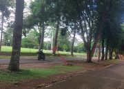 Tiang Lampu Hias Rubuh di Jalur Dua Pemkab Lampung Barat, Warga Khawatirkan Bahaya Kabel Listrik Aktif