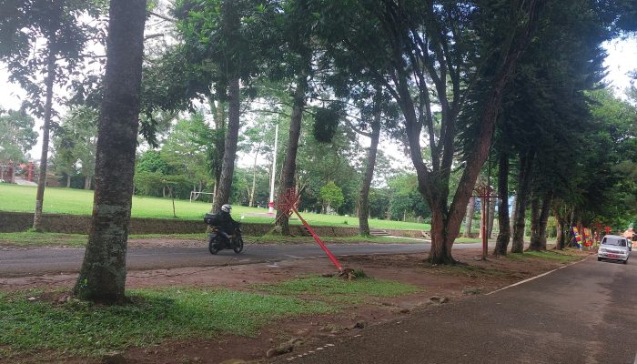 Tiang Lampu Hias Rubuh di Jalur Dua Pemkab Lampung Barat, Warga Khawatirkan Bahaya Kabel Listrik Aktif