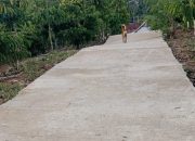 Rabat Beton Pekon Kutabasi Baru Dibangun Sudah Rusak Pj. Peratin Cuek
