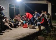 Harimau Muncul di Pekon Kubuperahu Warga Resah Hingga Mengungsi