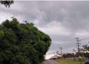 Hujan Disertai Petir dan Angin Kencang Melanda Way Kanan