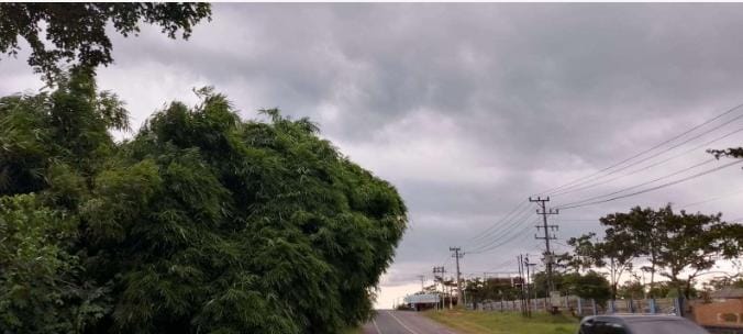 Hujan Disertai Petir dan Angin Kencang Melanda Way Kanan