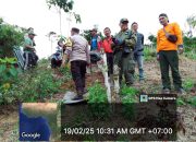 Jejak Tapak Harimau Ditemukan di Kebun Warga Gerdai Pekon Kotabesi, Warga Diminta Waspada