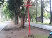 Gercap!! Tiang Lampu Hias Rubuh Diperbaki Petugas DLH Lampung Barat