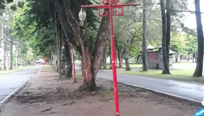 Gercap!! Tiang Lampu Hias Rubuh Diperbaki Petugas DLH Lampung Barat