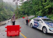 Sempat Macet Jalur Lintas Liwa-Krui Akibat Supir Fuso Nekat Melintas, Kini Normal Kembali