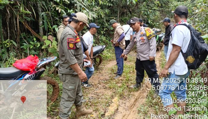 Tim Gabungan Turun Ke Lokasi Penemuan Jejak Harimau Di Pekon Sumberejo