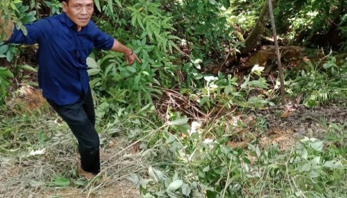 Rumor Berhembus, Nurjaman Warga Pekon Sukabanjar Kecamatan Ngambur Murni Kecelakaan Tunggal Kendaraan