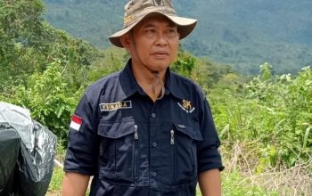 Harimau Serang Petani Hingga Tewas, BKSDA Yang Paling Bertanggung Jawab