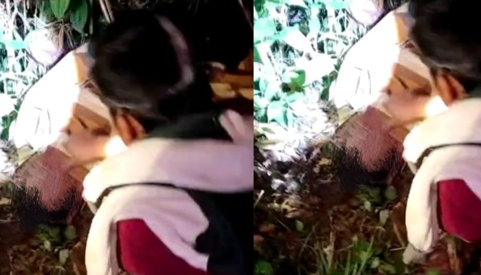 Waspada!! Kembali Warga Ditemukan Disemak Belukar Meninggal Diduga Dimangsa Harimau di BNS Lampung Barat