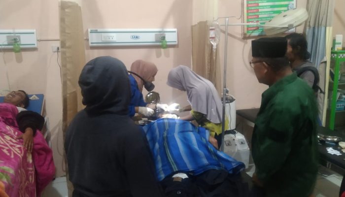 Naas!! Harimau Kembali Serang Warga di Pemangku Filla Atas Pekon Tiga Jaya Lampung Barat