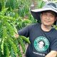 Hari Tani, Hari Desa, Koperasi Merah Putih menuju Daulat  Pangan