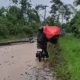 Tiang Listrik dan Pohon Rubuh di Lintas Waymengaku-Padang Cahya Balikbukit Lampung Barat