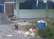 Kotak Sampah Kecil dan Sudah Rusak Warga Gang Sudirman Sukamakmur II Way Mengaku Minta DLH Tanggap