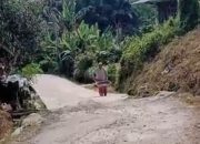 Kendaraan Sulit Berpapasan Warga Pekon Bumiagung Gotong Royong Lebarkan Badan Jalan