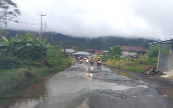 Rusak Parah dan Sering Makan Korban, Jalan Lingkar Kabupaten Pekon Sebarus Dikeluhkan