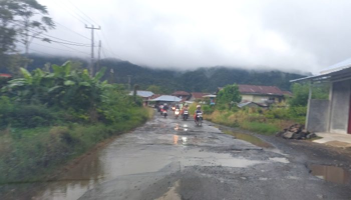 Rusak Parah dan Sering Makan Korban, Jalan Lingkar Kabupaten Pekon Sebarus Dikeluhkan