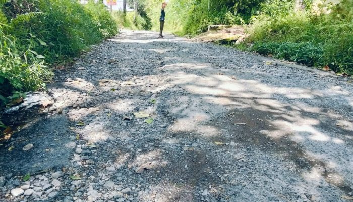 Jalan Lingkar Way Rubo – Seranggas Rusak Parah, Tak Ada Perbaikan Sejak 2022 Warga Kesulitan