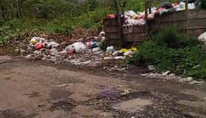 Dua Bulan Tak Diangkut Warga Keluhkan Tumpukan Sampah Dekat Rumah Dinas DPRD