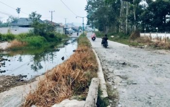 Jalur Dua Jalan Tugu Tani Sukau Digenangi Air Hingga Mengendap, Sampai Saat Ini Belum Ada Tindakan Pemkab Lambar