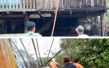 Hampir Waktu Bersamaan Dua Titik Kebakaran Terjadi di Balikbukit Lampung Barat. Ini Lokasinya!