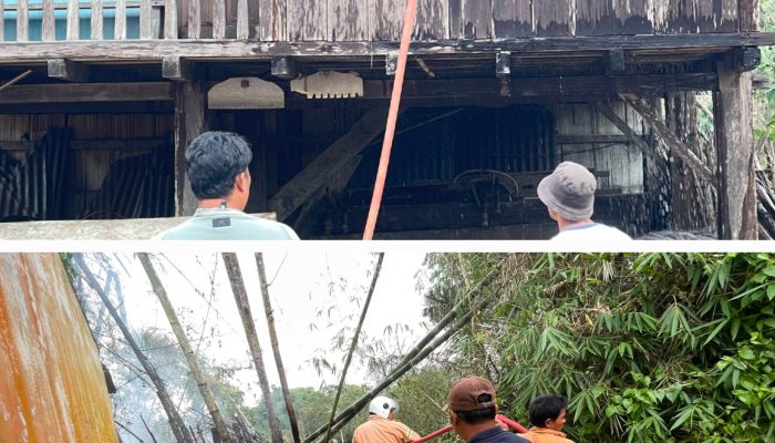 Hampir Waktu Bersamaan Dua Titik Kebakaran Terjadi di Balikbukit Lampung Barat. Ini Lokasinya!