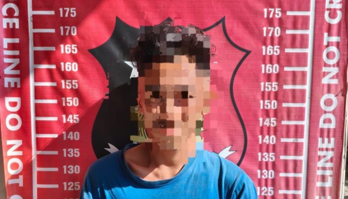 Curi Handphone Warga Pasar Krui Pesisir Barat Dicokok Polisi