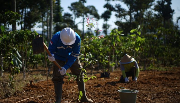 Tahap Awal PT SEGSS Rehabilitasi Seluas 15 Hektar Lahan di Koridor Jalan Proyek TNBBS