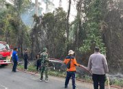 Hutan Kawasan TNBBS di Pekon Rata Agung Pesisir Barat Terbakar, Polsek dan Dinas Terkait Padamkan Api