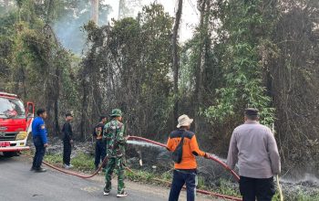 Hutan Kawasan TNBBS di Pekon Rata Agung Pesisir Barat Terbakar, Polsek dan Dinas Terkait Padamkan Api