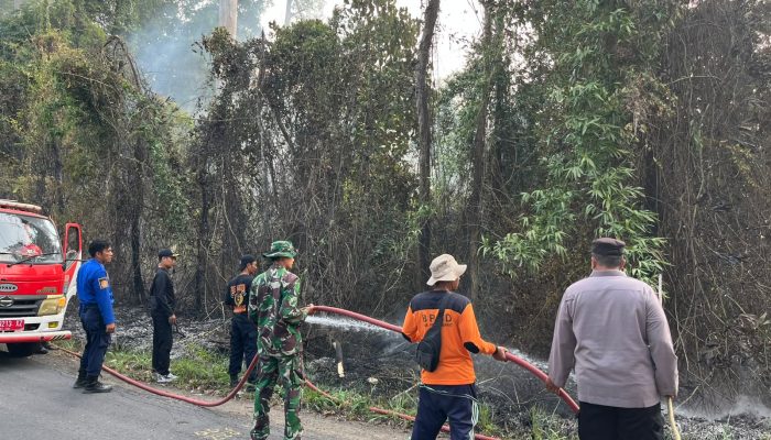 Hutan Kawasan TNBBS di Pekon Rata Agung Pesisir Barat Terbakar, Polsek dan Dinas Terkait Padamkan Api