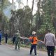Hutan Kawasan TNBBS di Pekon Rata Agung Pesisir Barat Terbakar, Polsek dan Dinas Terkait Padamkan Api