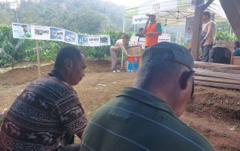 PT Syngenta Edukasi Petani Kopi di Pekon Bedudu, Lampung Barat Soal Pengendalian Hama Terpadu