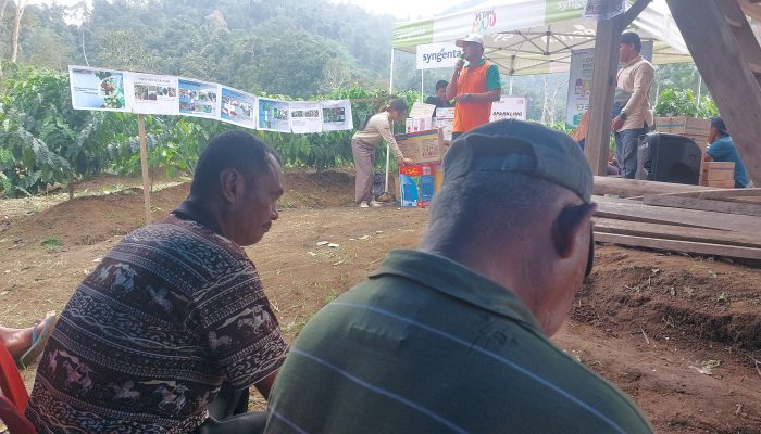 PT Syngenta Edukasi Petani Kopi di Pekon Bedudu, Lampung Barat Soal Pengendalian Hama Terpadu