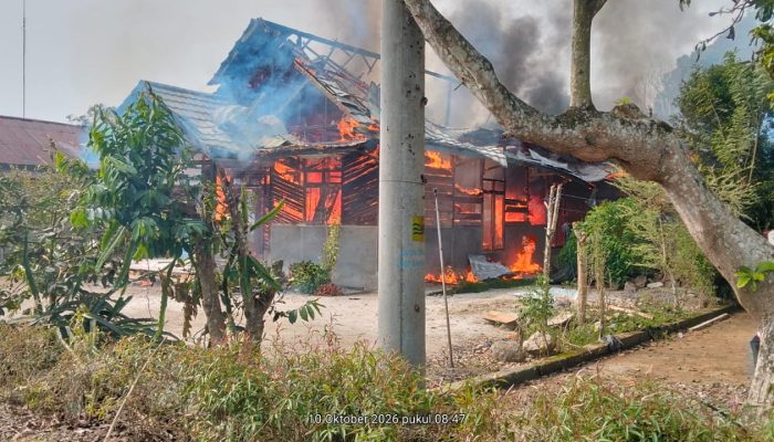 Satu Unit Rumah Warga di Pekon Balak Hangus Terbakar, Kerugian Capai Lebih Kurang Rp350 Juta