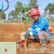 Warga Sekincau Ikut Pulihkan Hutan, Penghasilan Baru Mulai Terbuka